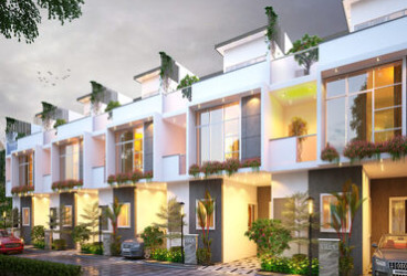 TRIFECTA VERDE EN RESPLANDOR