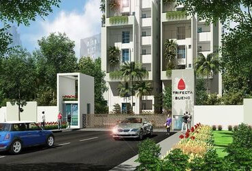 Ecstasy Trifecta Bueno