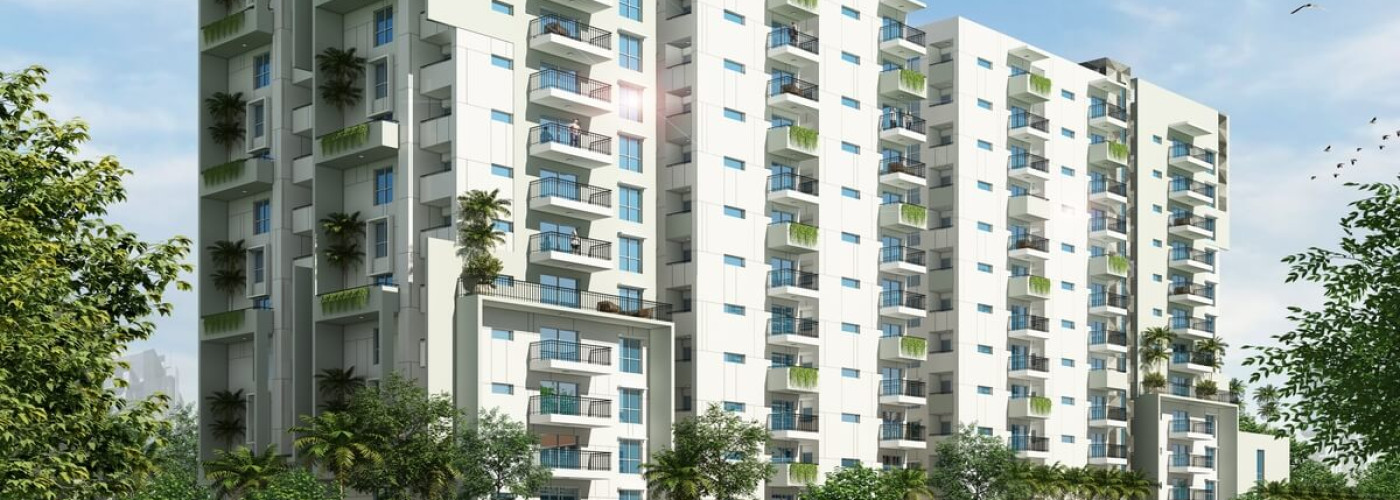 Ecstasy Trifecta Bueno  slider